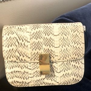 Celine Watersnake Box Bag Medium